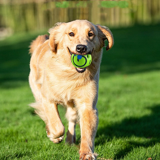 Hunde-Futterball, bissfest