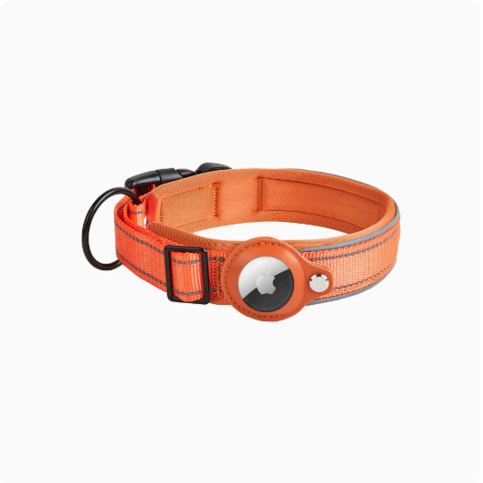 Reflektierendes Nylon-Halsband, verstellbar