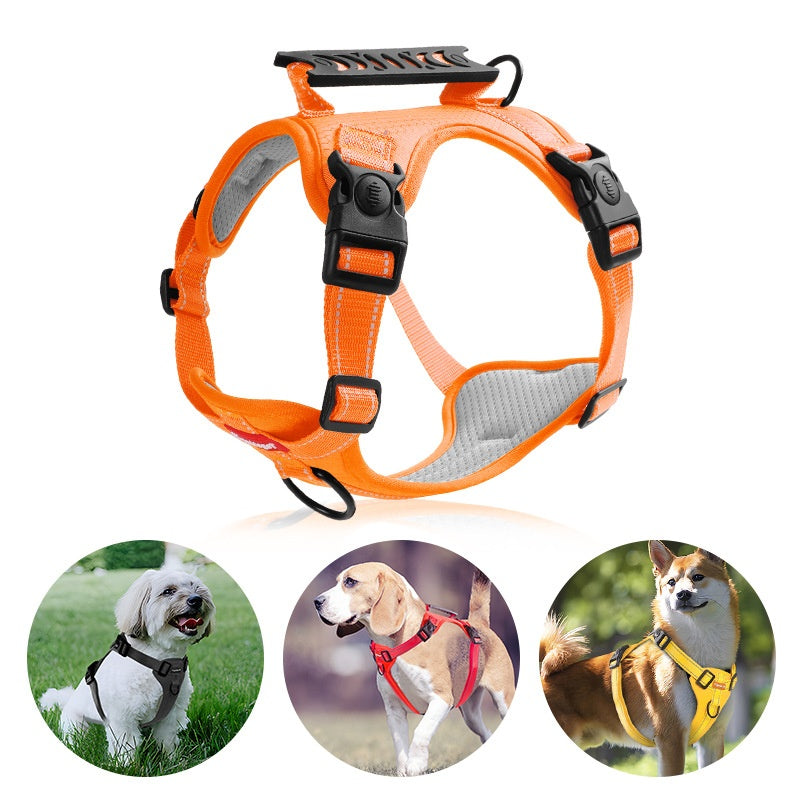 Hunde-Halsband mit Zugleinen