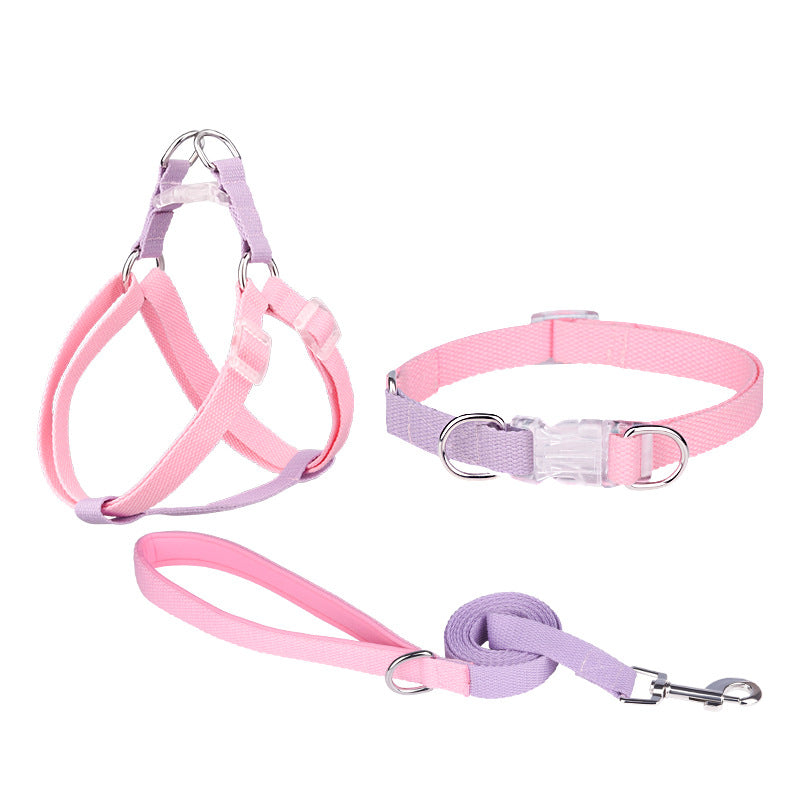 Polyester-Halsband mit Leine und Geschirr | LuxeStyle