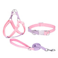 Polyester-Halsband mit Leine und Geschirr | LuxeStyle