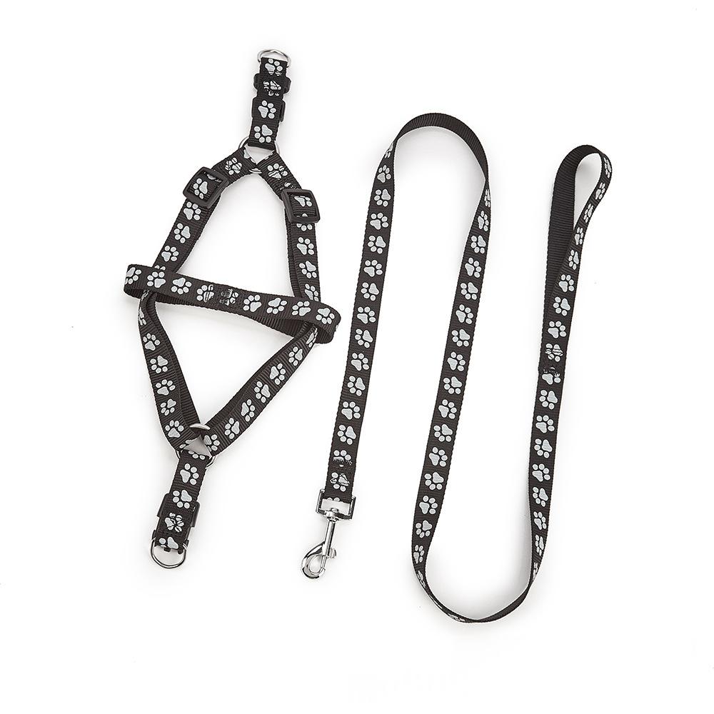 Nylon-Hundeleine für mittelgrosse Hunde – Bild 6 | LuxeStyle