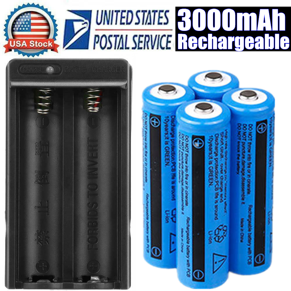Li-ion Akku & Ladegerät Set 3000mAh