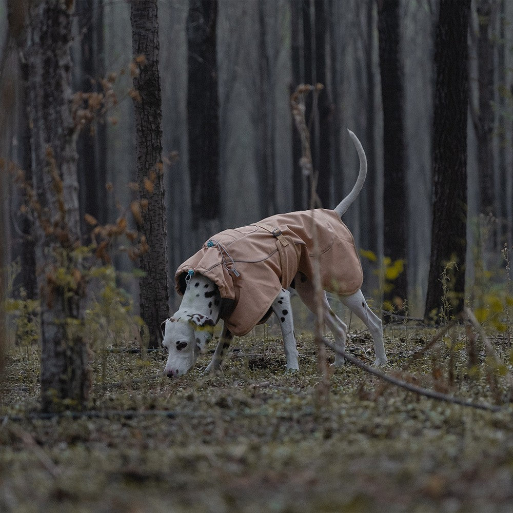 Wasserdichter Wind- und Wärmeschutz-Softshell-Hundemantel