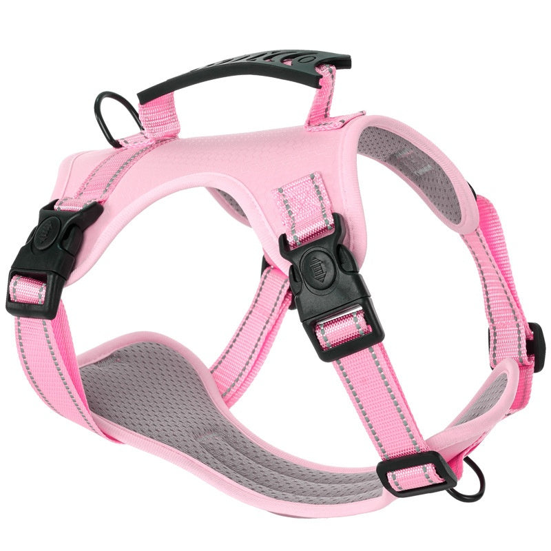 Hunde-Halsband mit Zugleinen