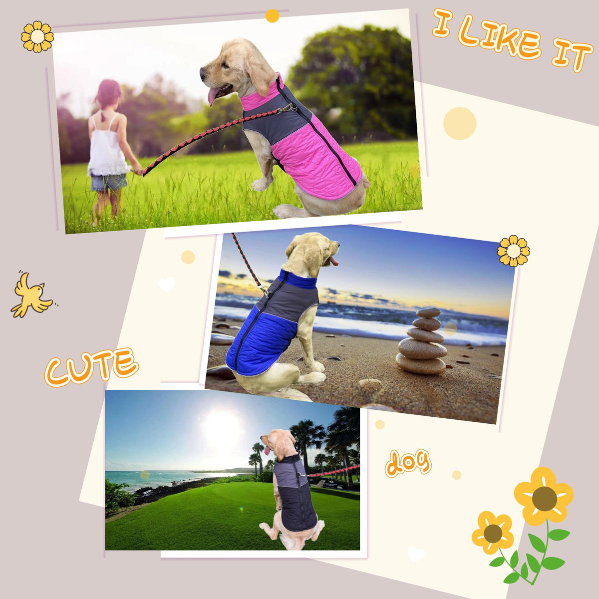 Outdoor-Hundebekleidung wasserdicht | LuxeStyle