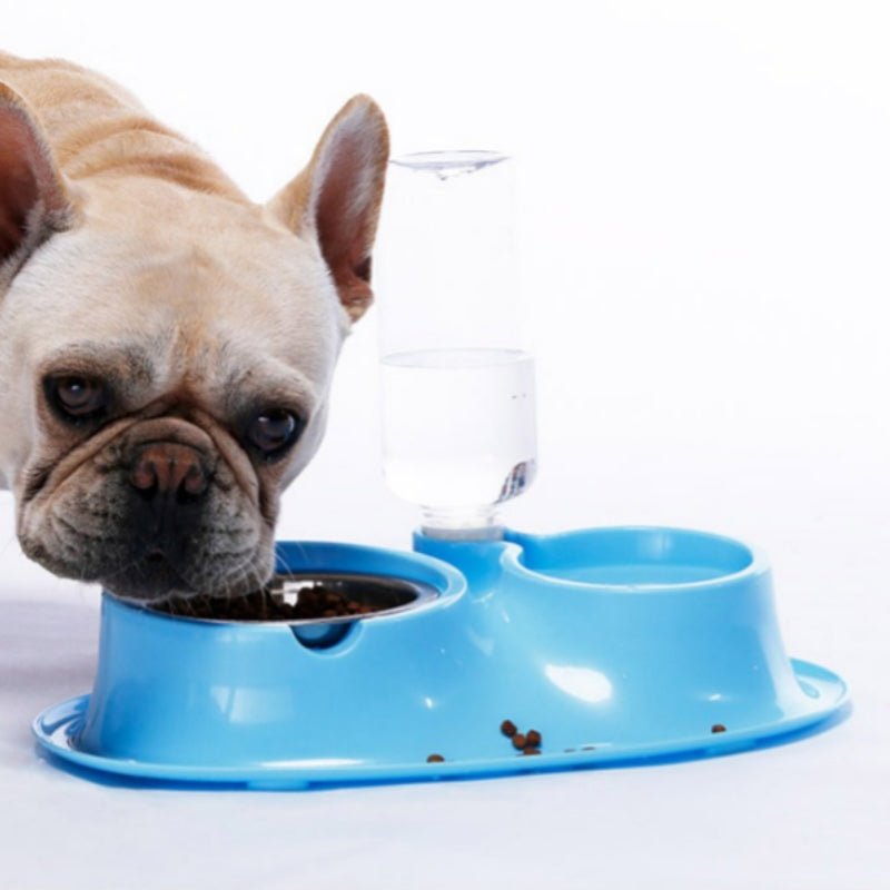 Edelstahl Automatische Trinkschüssel für Hunde – Bild 2 | LuxeStyle