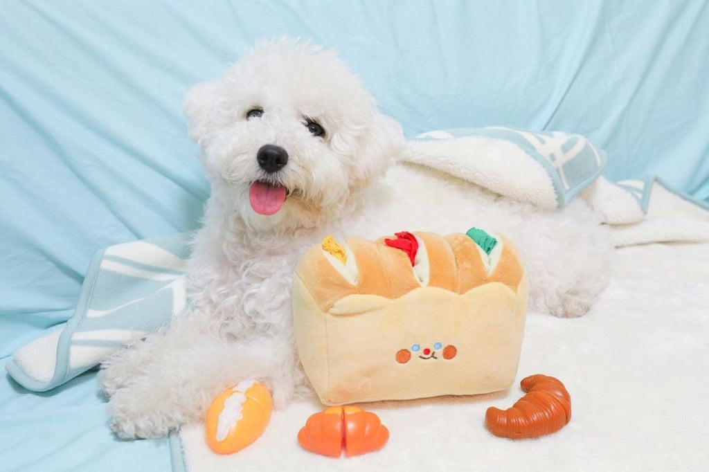 Brot-Toast Schnüffelspielzeug für Hunde – Bild 1 | LuxeStyle