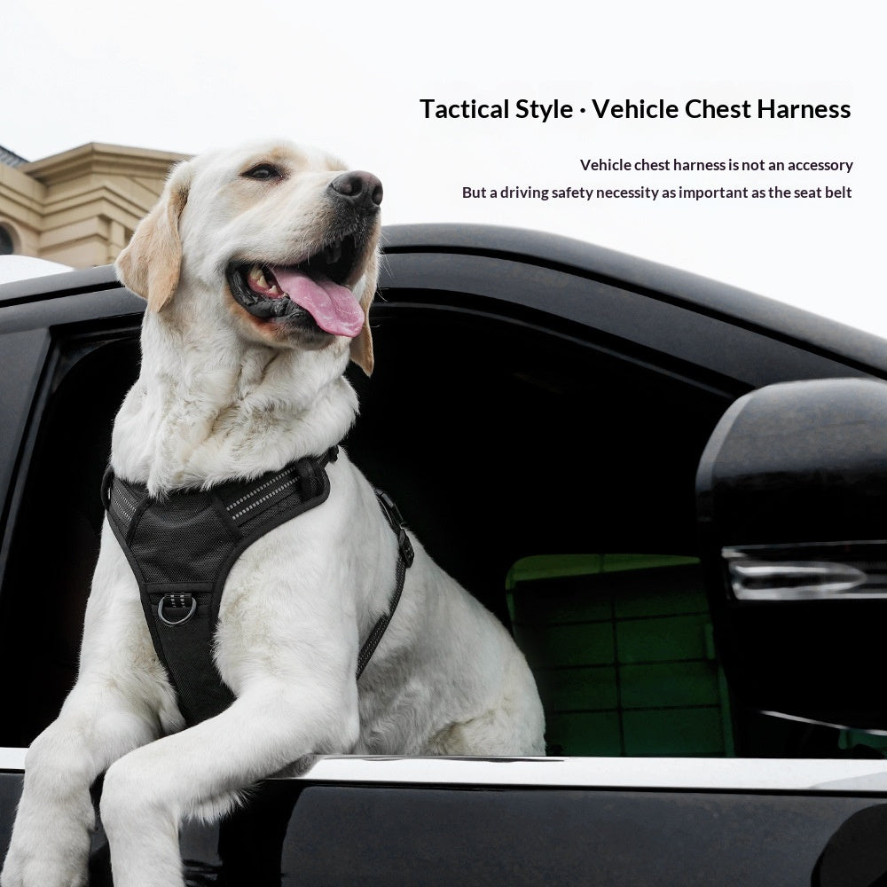 Leichtes Dual-Hundegeschirr für Auto & Traktion