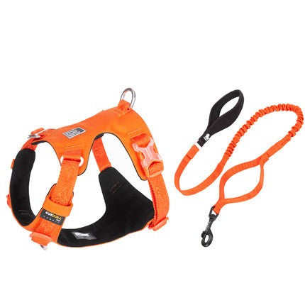 Truelove Hundegeschirr, reflektierend, gepolstert – Bild 5 | LuxeStyle