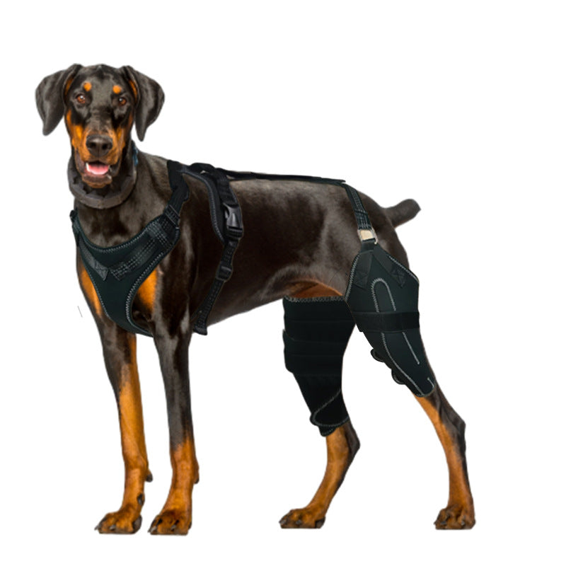 Beinwärmer für Hunde mit verstellbarer Metallstütze – Bild 3 | LuxeStyle