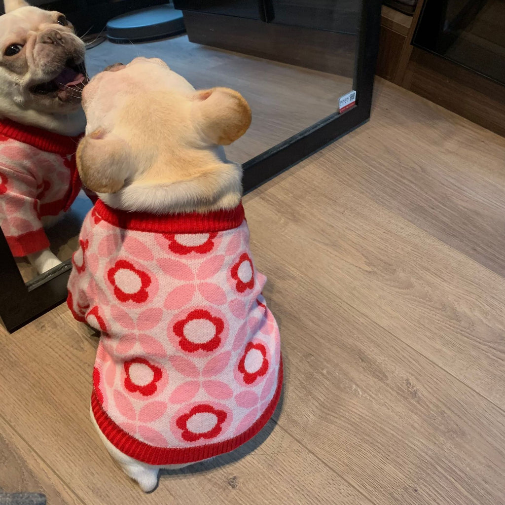 Hundemantel Jacquard Herbst/Winter Rot – Bild 3 | LuxeStyle