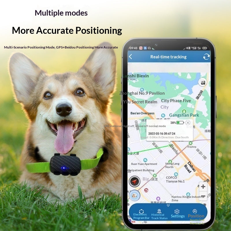 GPS-Tracker für Katzen und Hunde