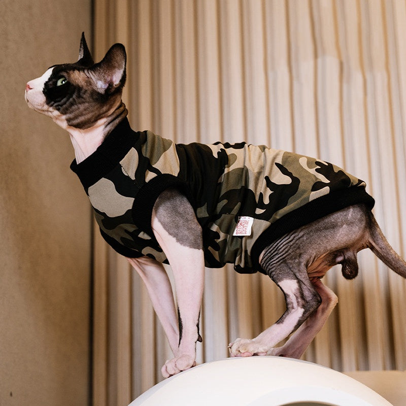 Sommerliches Baumwollshirt für haarlose Katzen