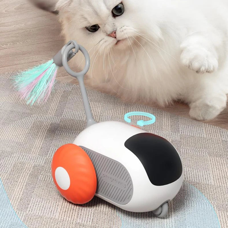 Interaktives Katzenspielzeug mit Fernbedienung