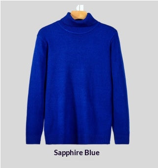 Herren Rollkragenpullover