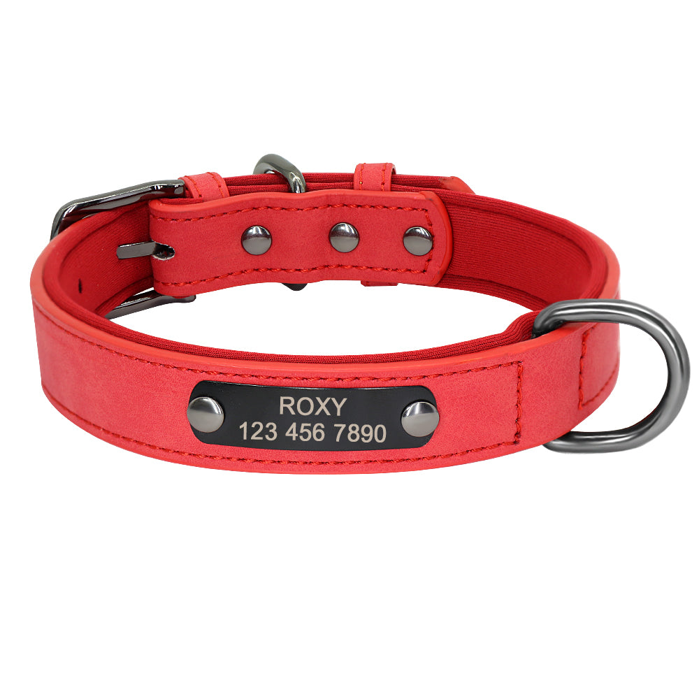 Halsband mit Gravur für Hunde und Katzen – Bild 4 | LuxeStyle