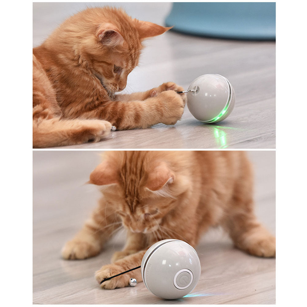 Farbiges Katzenspiel mit LED-Licht – Bild 4 | LuxeStyle
