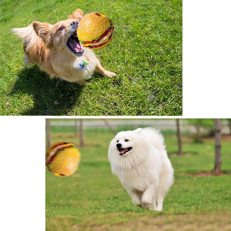 Musikball für Hunde – Bild 3 | LuxeStyle