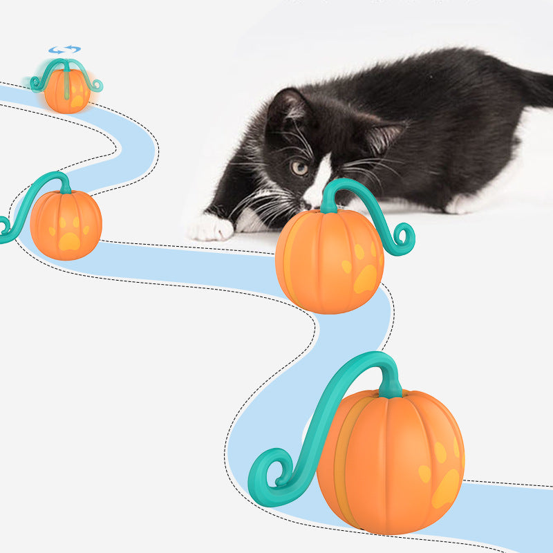 Leuchtender Spielball für Katzen
