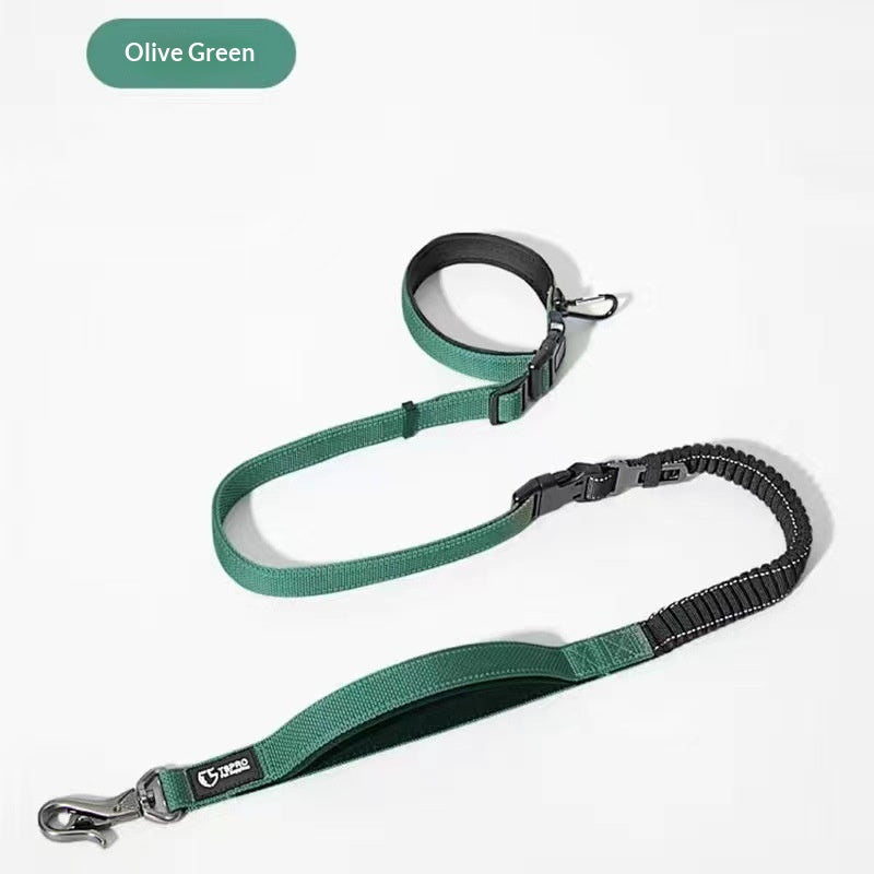 Schockabsorbierende Leine für grosse Hunde