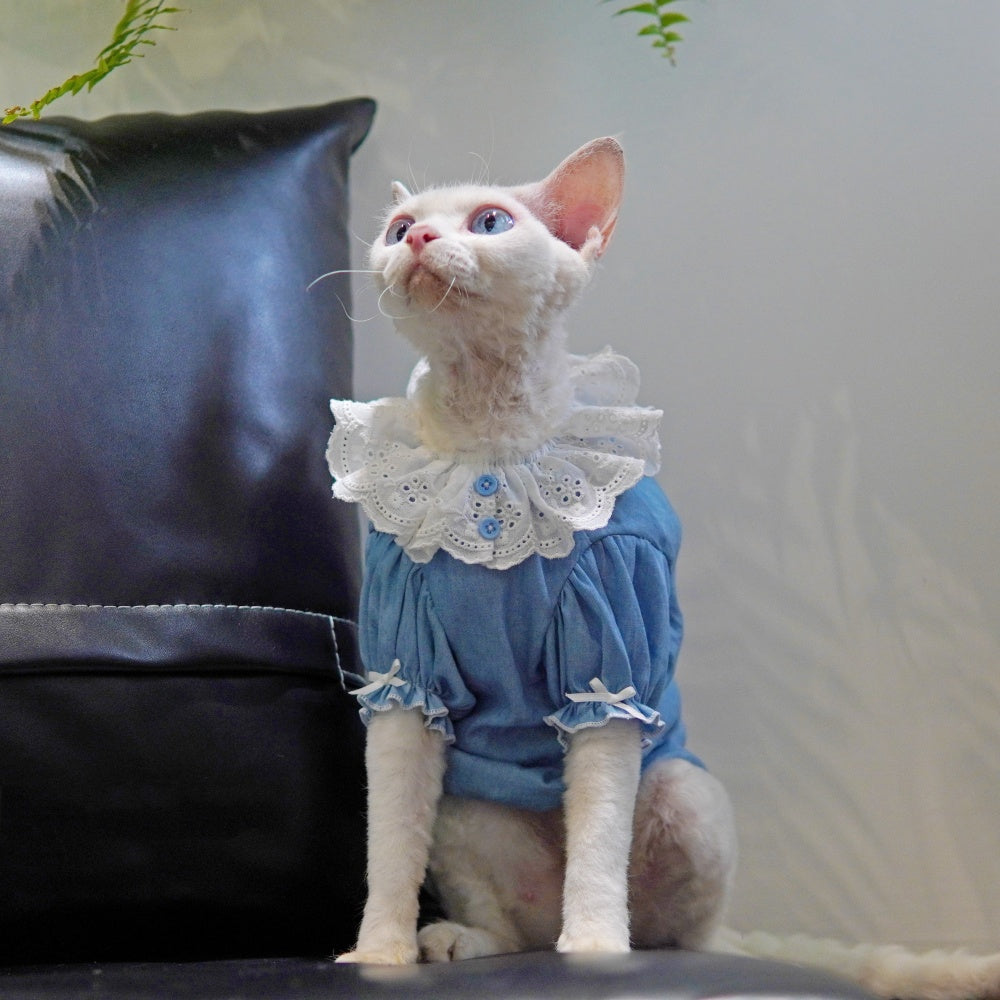 Sommerkleid für Sphynx-Katzen