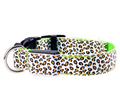 LED-Halsband für Hunde – Leopard-Muster – Bild 1 | LuxeStyle