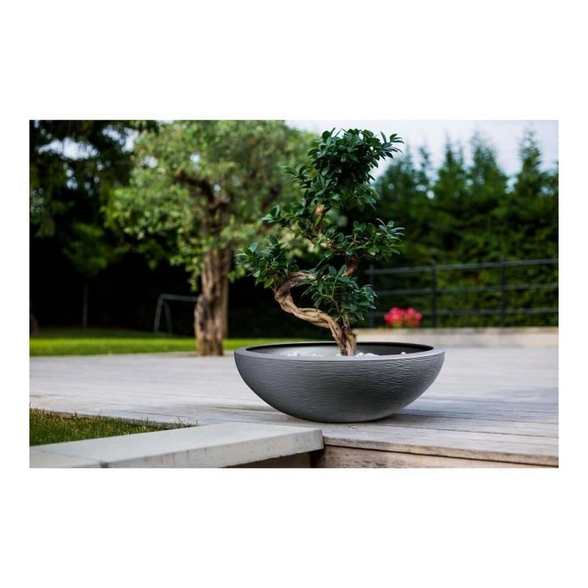 Blumentopf EDA Graphit Washbasin Grau Dunkelgrau