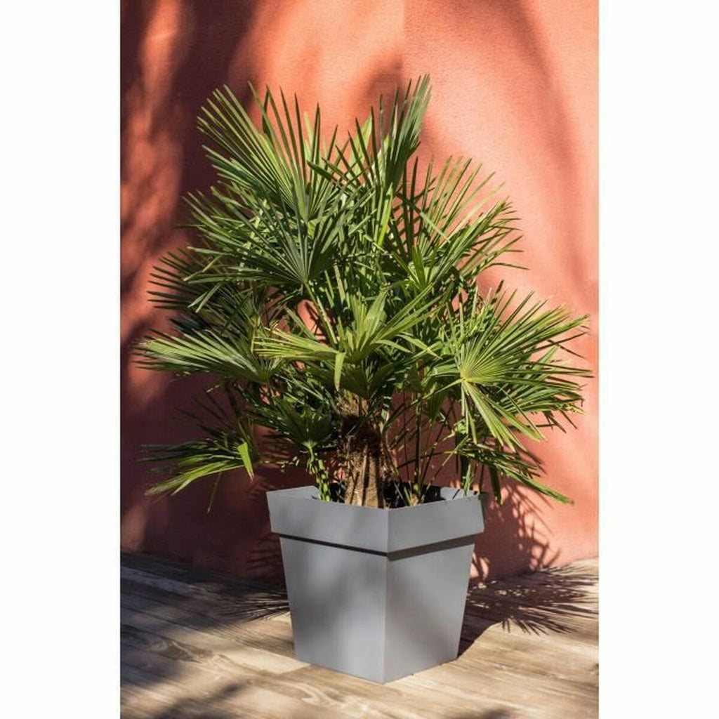 Karierter Blumentopf Grau Ø50 – Moderner Look für grosse Pflanzen.