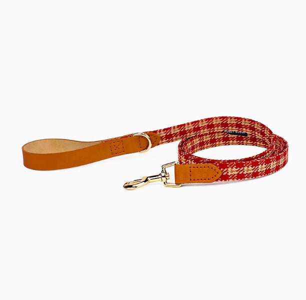Halsband oder Leine für Hunde – Bild 3 | LuxeStyle