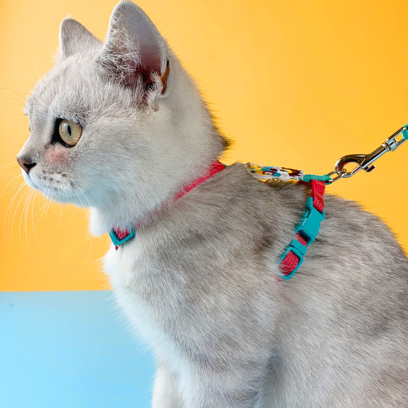 Gstältli mit Leine für Katzen & kleine Hunde