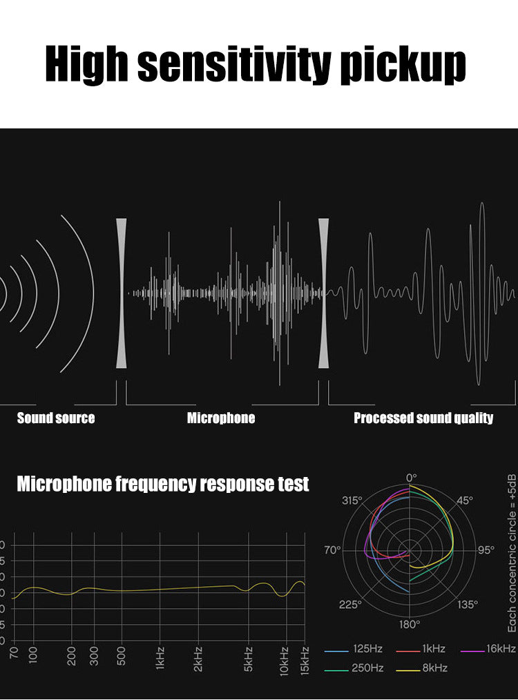 Kondensator-Mikrofon-Set mit Soundkarte