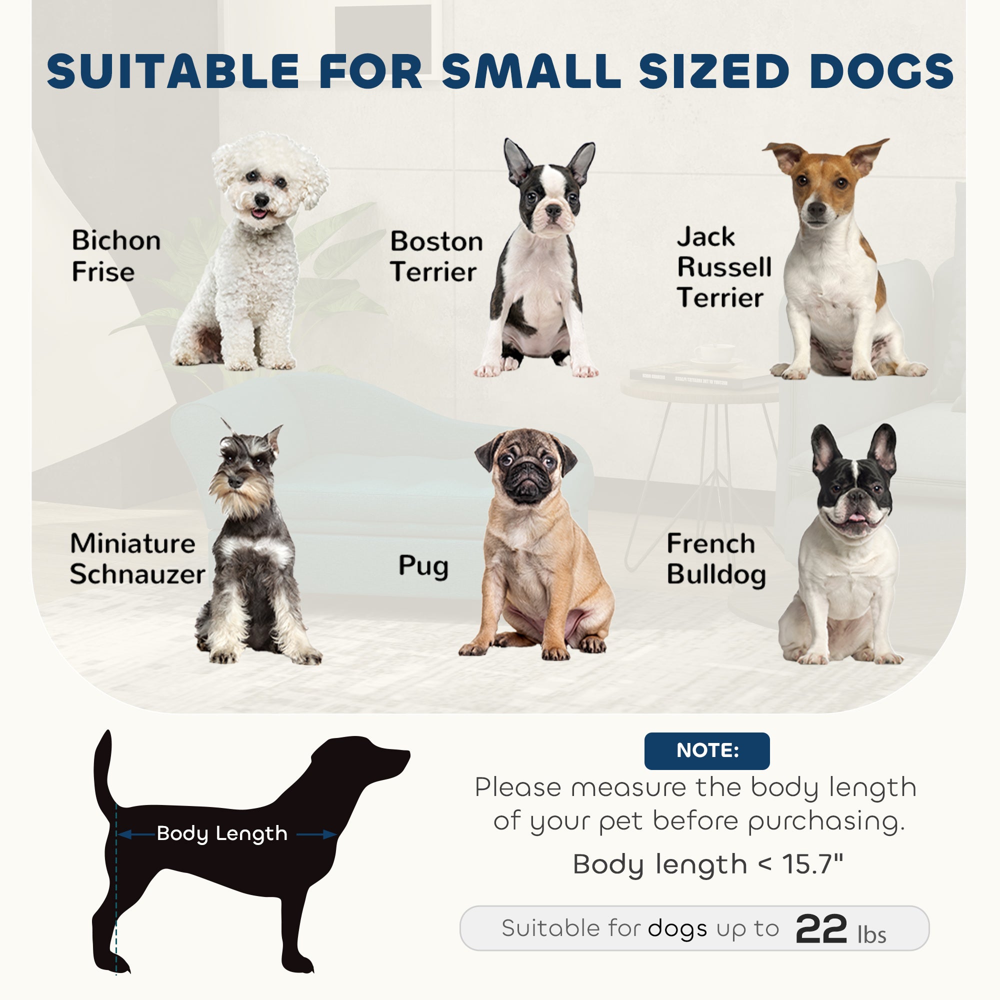 Haustier-Sofa mit Ablage für Katzen & kleine Hunde, grün