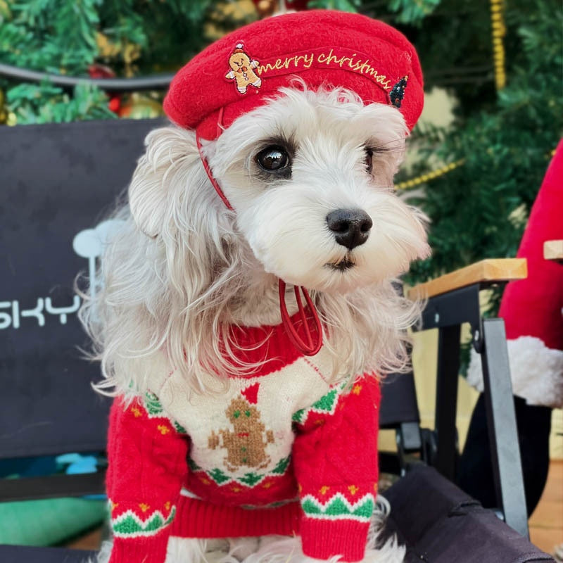 Hundepullover im Weihnachts-Stil – Bild 6 | LuxeStyle