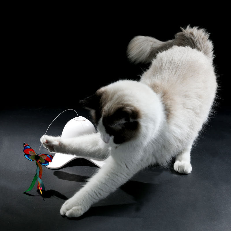 Elektrisches Schmetterling Katzen-Puzzle – Bild 4 | LuxeStyle