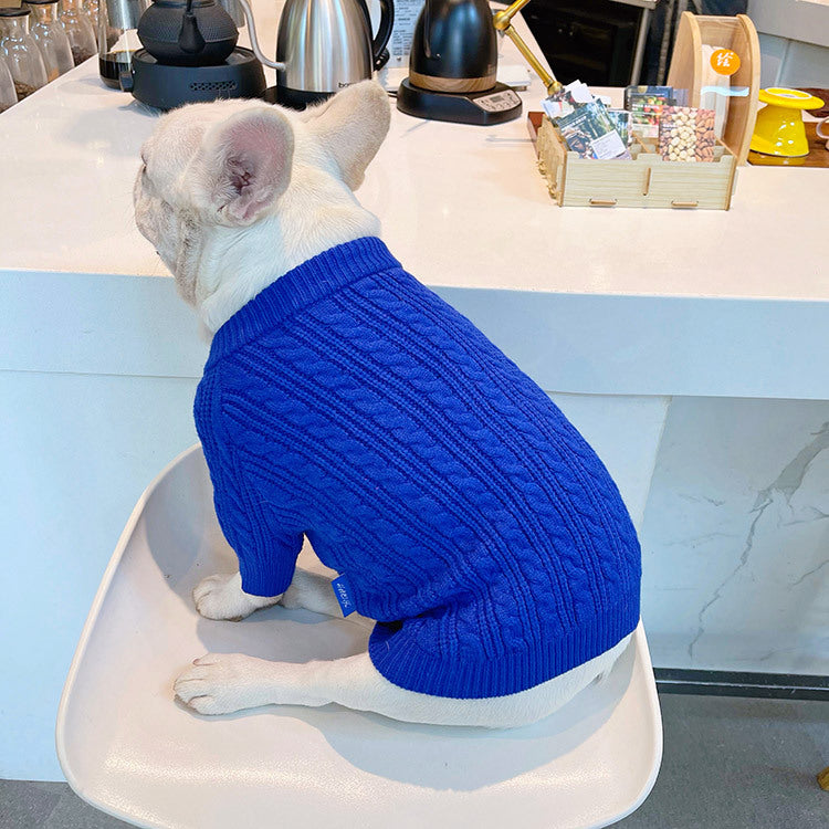Bichon Corgi Winterpullover Blau – Bild 12 | LuxeStyle