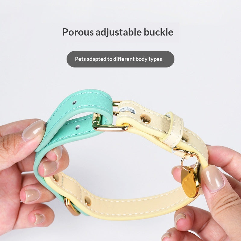Lederhalsband für kleine bis mittelgrosse Hunde
