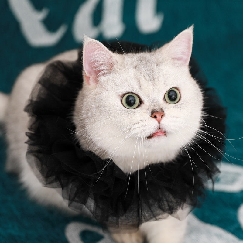 Katzen-Königsumhang mit Spitzenkragen – Bild 2 | LuxeStyle