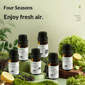 Aromatherapie-Öl-Set für Duftspender · 6 Stück | LuxeStyle