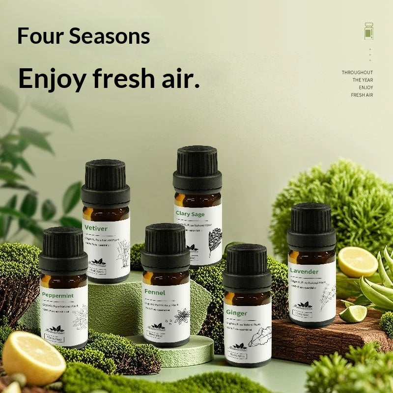 Aromatherapie-Öl-Set für Duftspender · 6 Stück | LuxeStyle