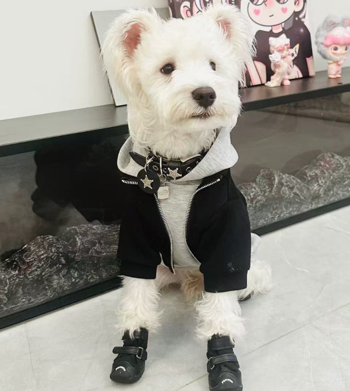 Hunde-Kapuzenpullover in Schwarz-Grau – Bild 2 | LuxeStyle