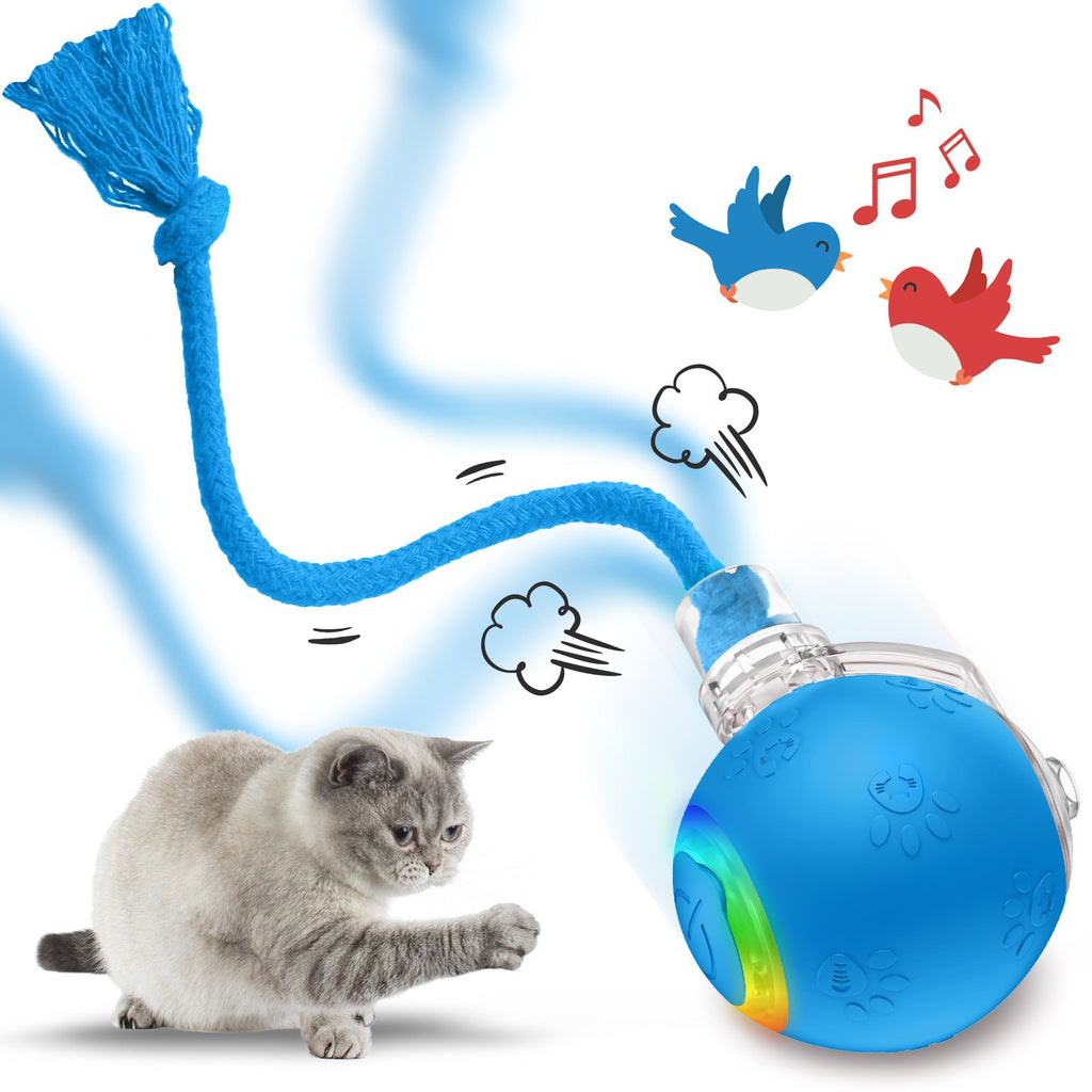 Interaktiver Spielball für Katzen
