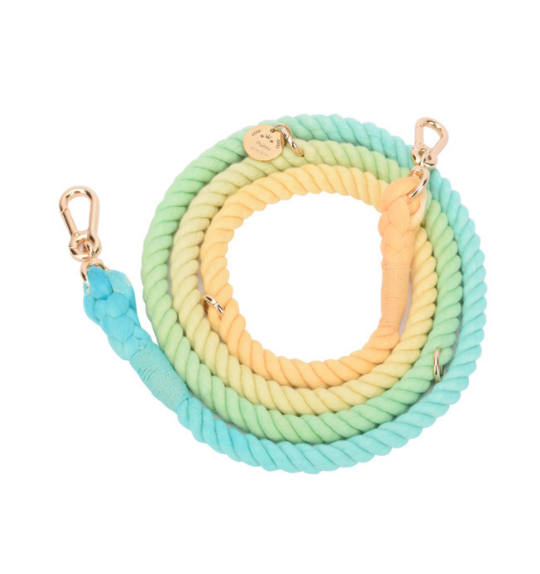 Multifunktionale Regenbogen-Hundeleine – Bild 7 | LuxeStyle