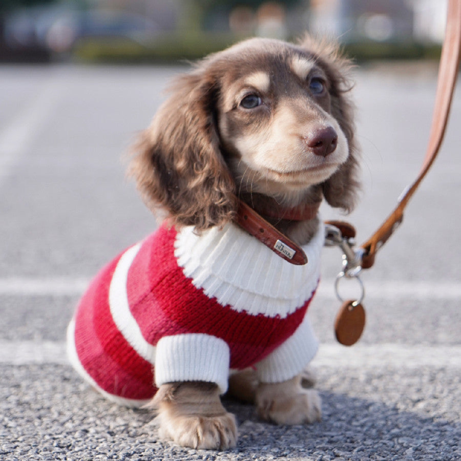 Rotes und weisses Streifenpullover für kleine Hunde – Bild 8 | LuxeStyle