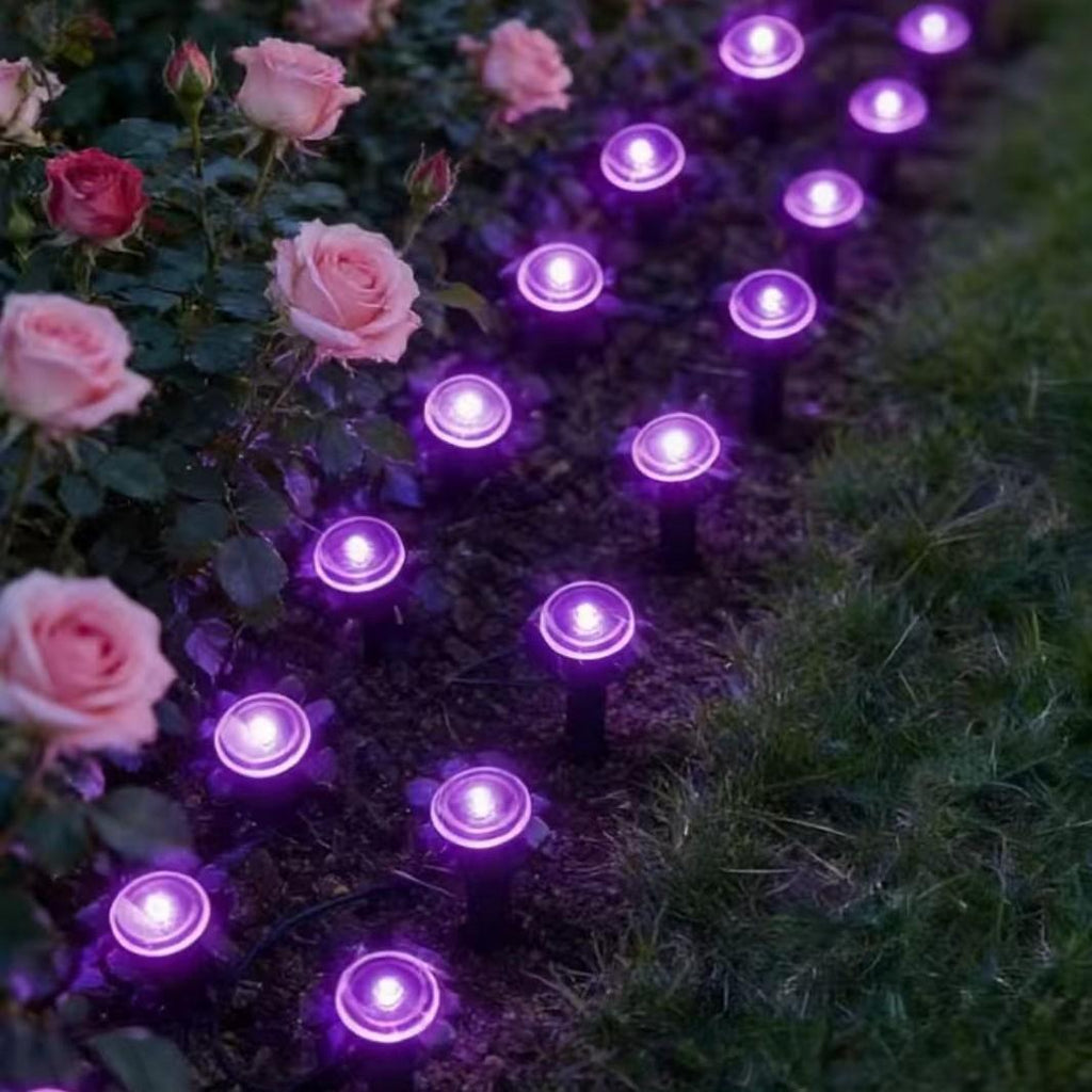 Solar-Gartenlichterkette