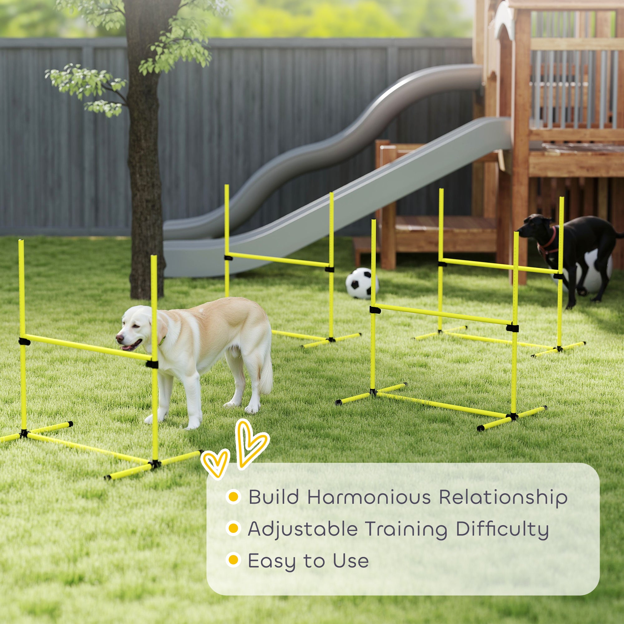 Hunde Agility Set, 4-teilig