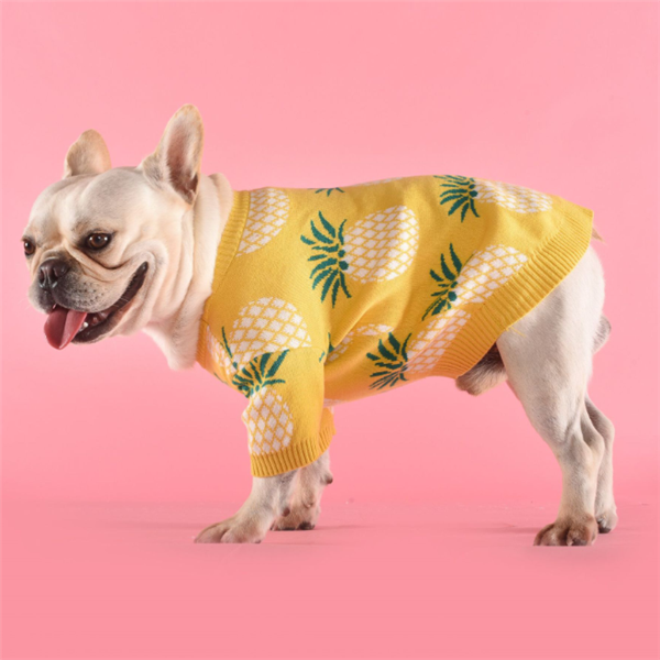 Ananaspullover aus Baumwolle | LuxeStyle