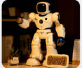 Programmierbarer Roboter mit App-Steuerung