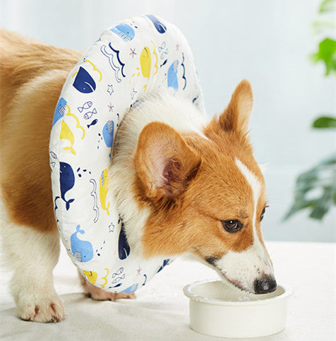 Hunde- und Katzenhalskrause – Bild 4 | LuxeStyle