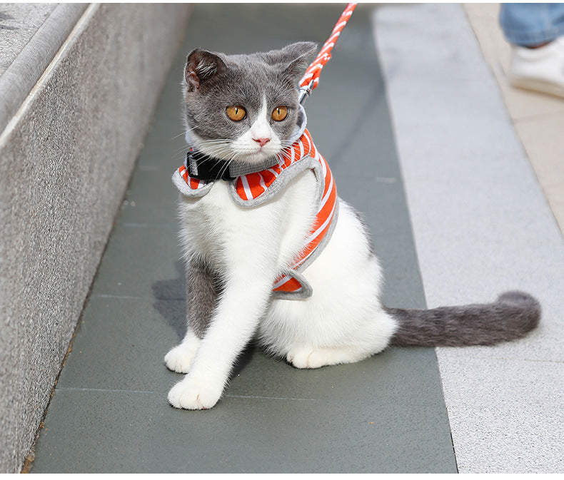 Katzenhalsband mit Kapuzenvest – 2 Grössen – Bild 8 | LuxeStyle